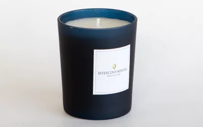 AROMA Y CIENCIA:¿CÓMO LLEGA EL AROMA A LA MENTE DEL CONSUMIDOR?AROMA Y CIENCIA: