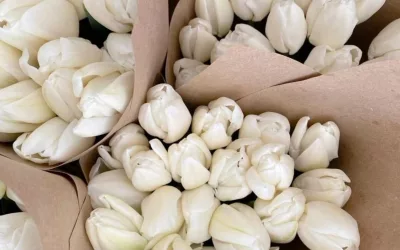 EL AROMA DE LA PRIMAVERA:¿A QUÉ HUELE LA ÉPOCA MÁS FLORAL DEL AÑO?